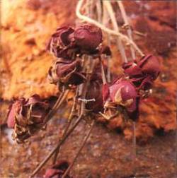 Merry Go Round : Kimi Wa Mitsu Yori Mo Amaku